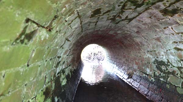 Under bridge